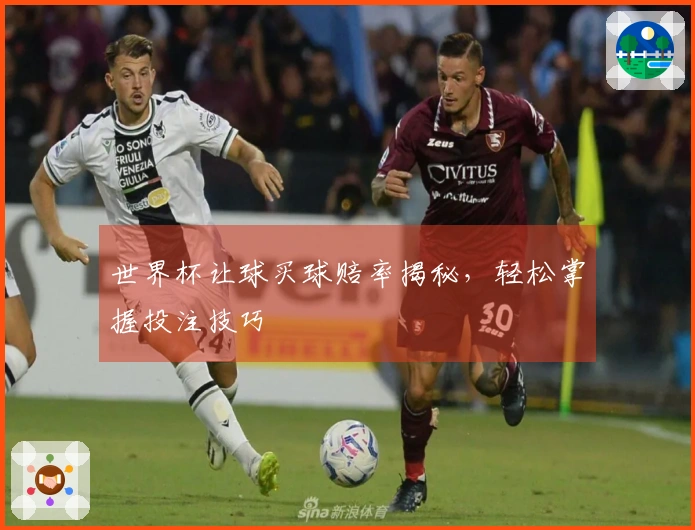 世界杯让球买球赔率揭秘，轻松掌握投注技巧