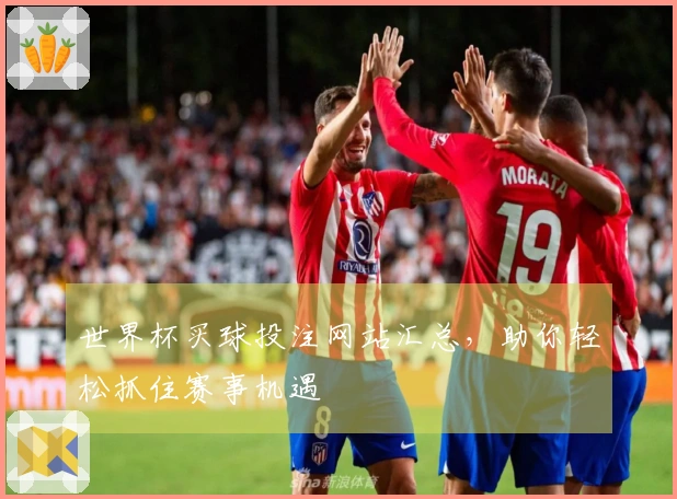 世界杯买球投注网站汇总，助你轻松抓住赛事机遇
