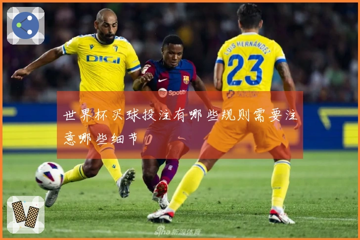 世界杯买球投注有哪些规则需要注意哪些细节
