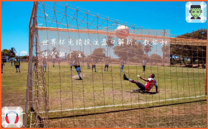 世界杯竞猜投注盘口解析，教你如何智能下注